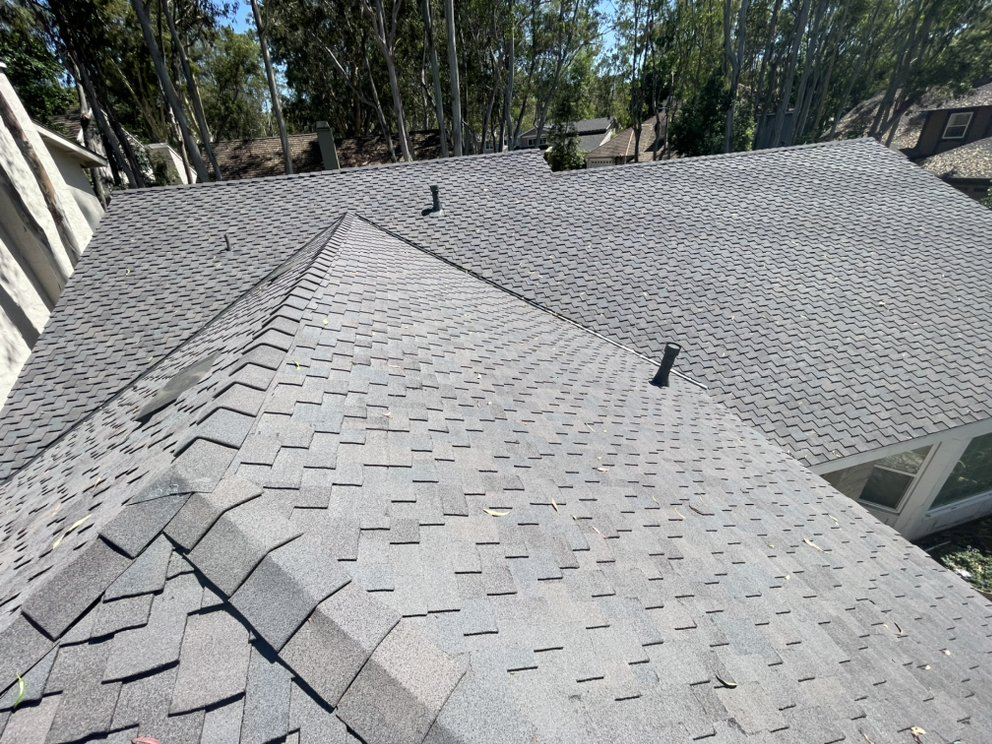 Michael Chen's new roof